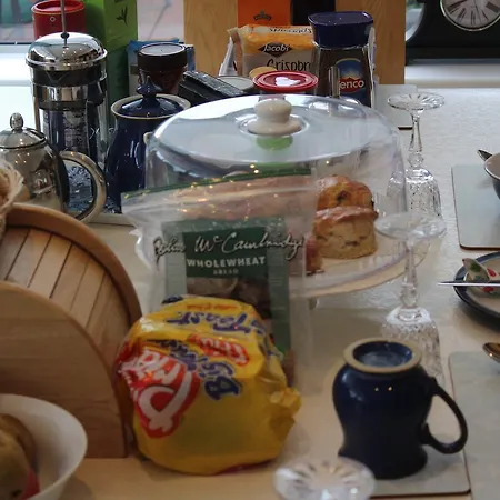Homestay Irish Family In