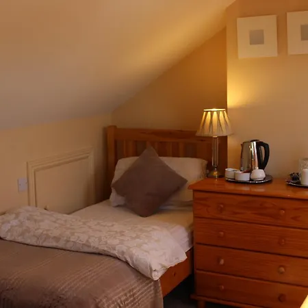 Homestay Irish Family In Dublin