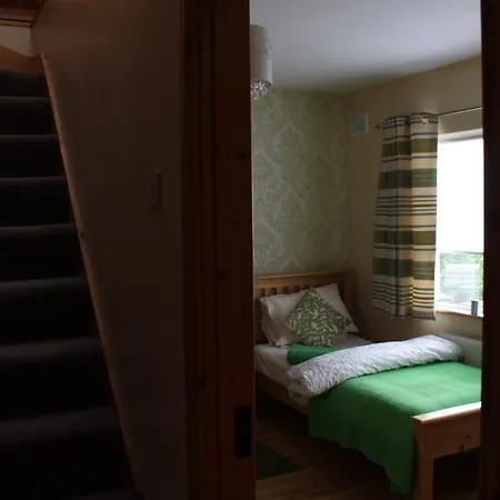 Irish Family In Homestay Dublin