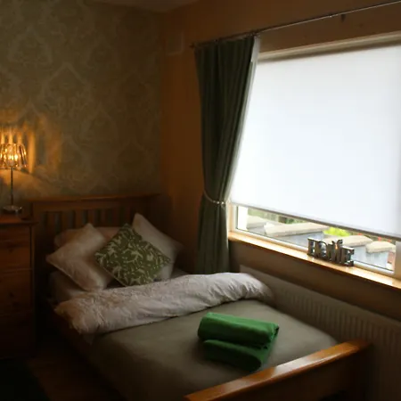Irish Family In Homestay Dublin