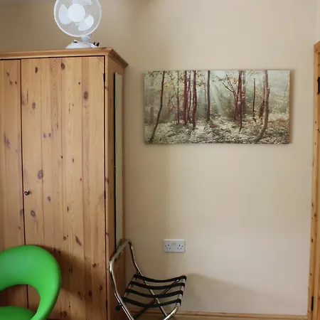 Homestay Irish Family In *